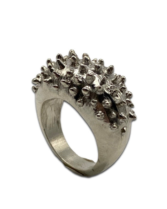 Y25 ring