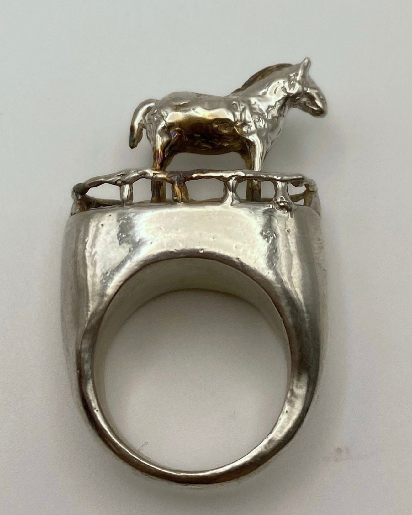 HORSE RESTS IN A GARDEN