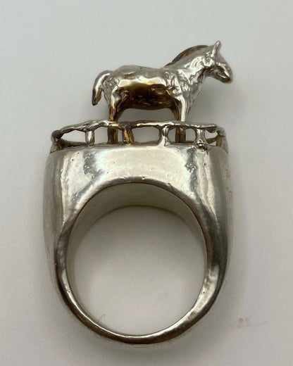 HORSE RESTS IN A GARDEN