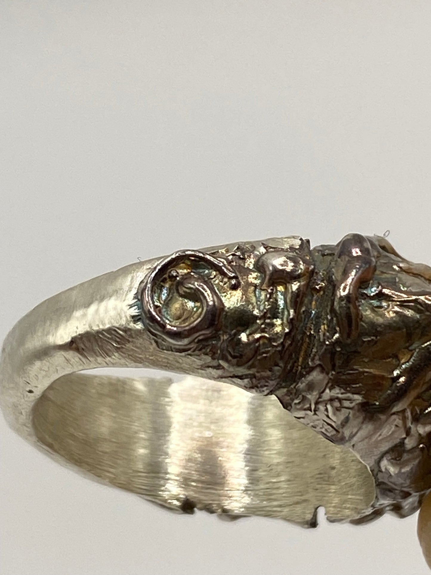 MOSTRO ring