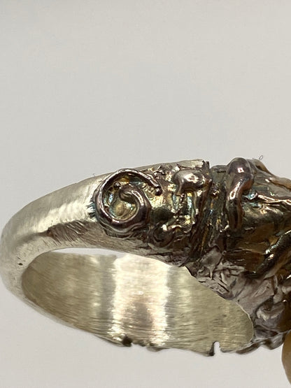 MOSTRO ring