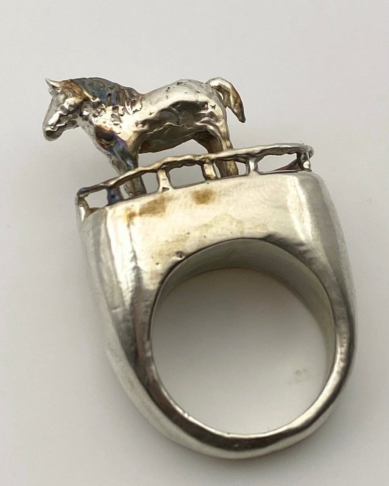 HORSE RESTS IN A GARDEN