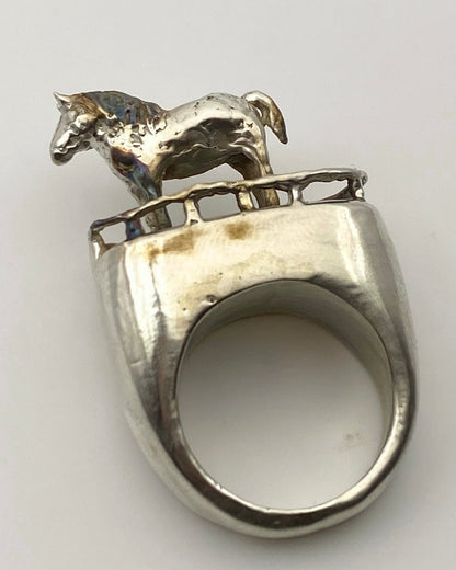 HORSE RESTS IN A GARDEN